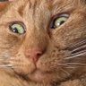 Karen Dagen profil fotoğrafı