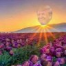 Victor Talbott profil fotoğrafı
