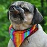 Kyle Van Hacked's profile picture