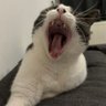 Фото профиля yay ama bipolar değil