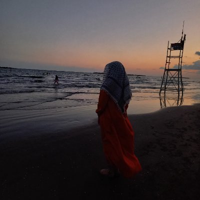 EmanElkhamesy's profile picture