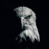 🇺🇸Judge🇺🇸 profil fotoğrafı