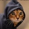 Profilbild von Slickwyck