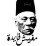AliAli's profile picture