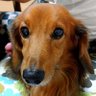 kazuちゃん's profile picture