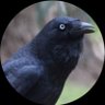 The Raven profil fotoğrafı