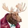Profilbild von bungus