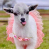 TeenyTinyTinkerbell's profile picture