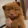 godsun's profile picture