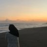 anak ayah 的头像