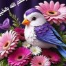 ابو علي العبساوي profil fotoğrafı