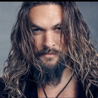 گرگ زخمی//WOUNDED WOLF's profile picture