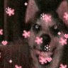 𖤐mulch_eater𖤐 profil fotoğrafı