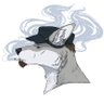 Profilbild von UrosWolf