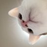 Profilbild von Mif