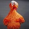 Passarão profil fotoğrafı