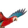 Blunt Parrot profil fotoğrafı