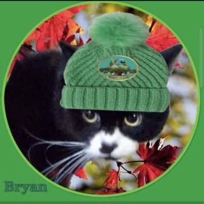 InfluencerBryan's profile picture