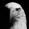 Profilbild von Billy P