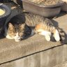 ちーちー profil fotoğrafı