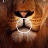 Ken.ke's profile picture