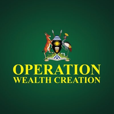 Operation Wealth Creation's profile picture