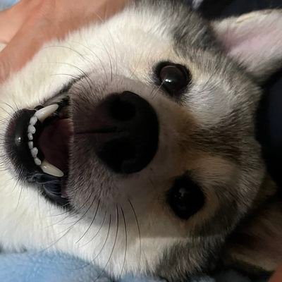 PandPon20230103's profile picture