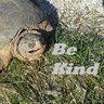 Mark, Choose Kindness's profile picture