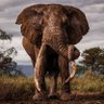Фото профиля Kiprotich