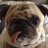 Jackhasonly1eye profil fotoğrafı