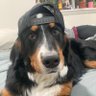 Kenny 的头像
