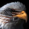 corojajo96's profile picture