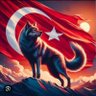 Mehmet Kara profil fotoğrafı