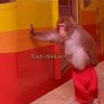 ozz profil fotoğrafı