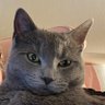 J M profil fotoğrafı
