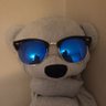 Blue Bear profil fotoğrafı