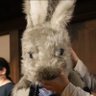 yamabudo's profile picture