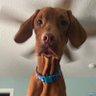 OldCity's profile picture