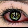 dawn_o_the_dead_'s profile picture