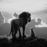 Фото профиля Suresh Kumar
