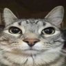 Profilbild von Danjokess