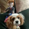 DeAnna B's profile picture