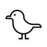 Birds of Beach's profile picture