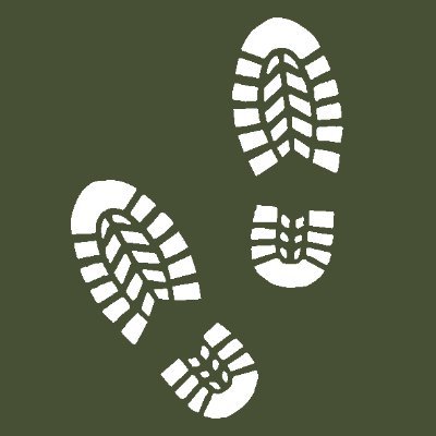 battlefieldexpl's profile picture