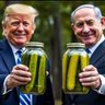שמוליקיפוד🇮🇱 הקיפוד הרשמי's profile picture