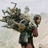Фото профиля فأمكن منهم