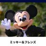 サクサクたんたん's profile picture