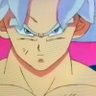 omer atias's profile picture