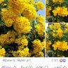 هبة الله profil fotoğrafı