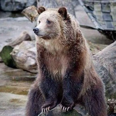 6dbccb9a1a3e43c's profile picture
